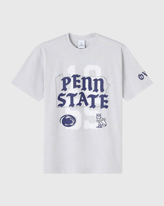 Ash heather grey t-shirt with Penn State text, state outline, and blue athletic logos printed on front.