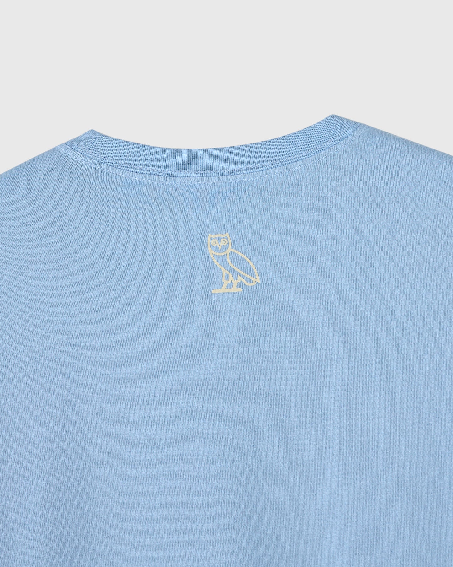Light blue t-shirt with small cream owl outline graphic on chest.