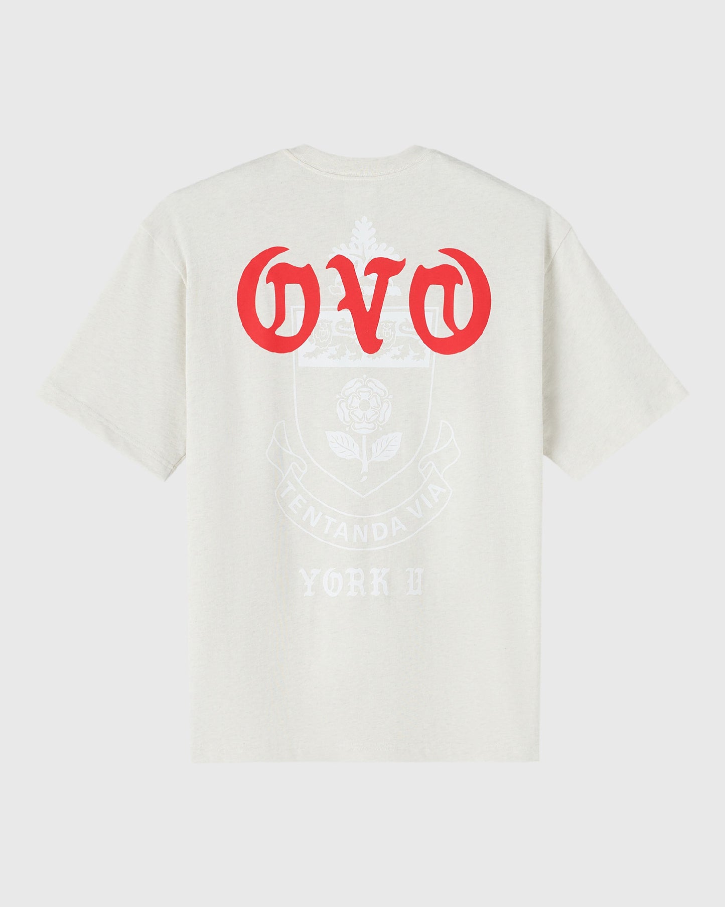 T-shirt épais York University – Gris cendré chiné