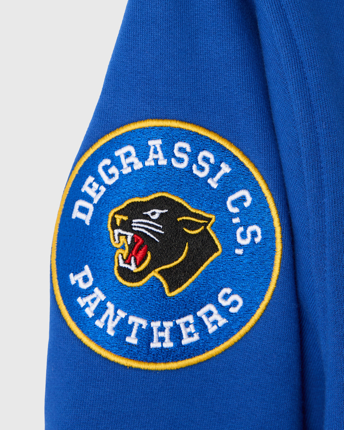 Degrassi Fleece Varsity - Royal Blue