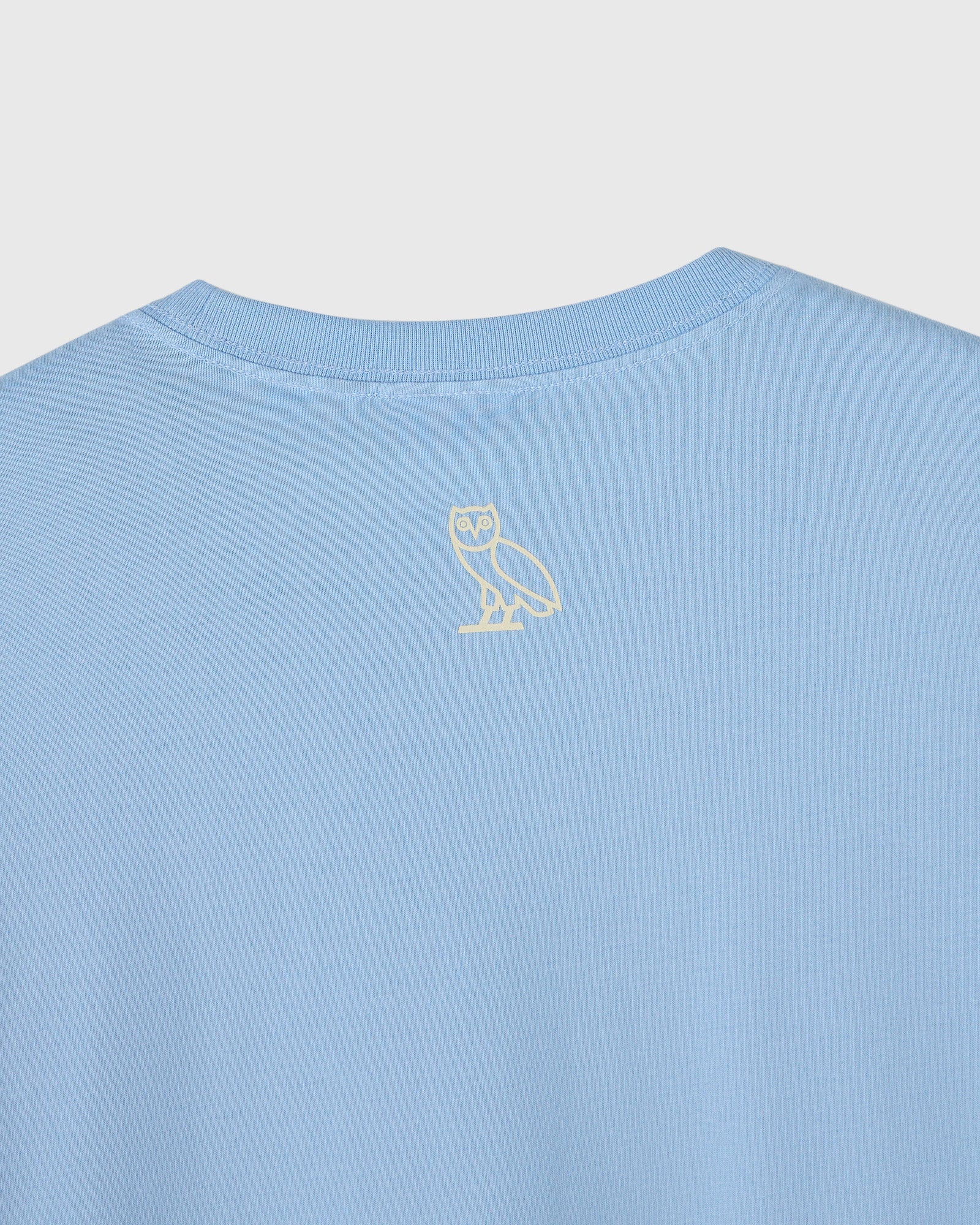 Light blue t-shirt with small cream owl outline graphic on chest.