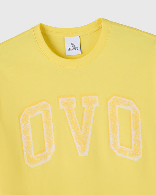 Vintage Arch Tee - Pollen