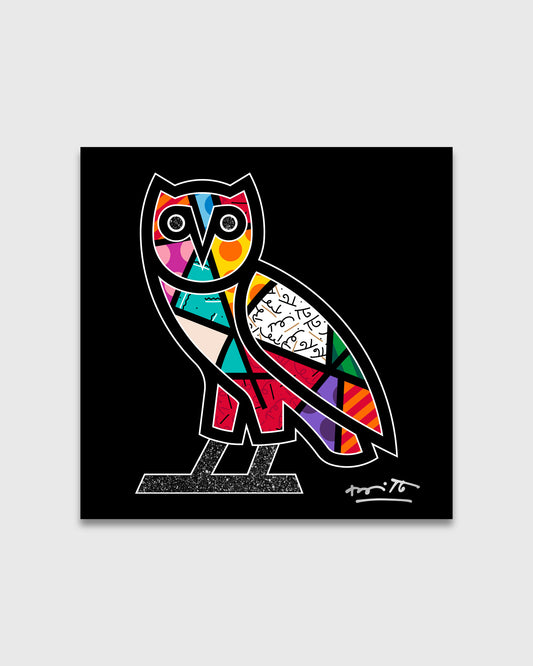 Colorful owl with geometric patterned sections in red, blue, yellow, and pink on black background with white outline.