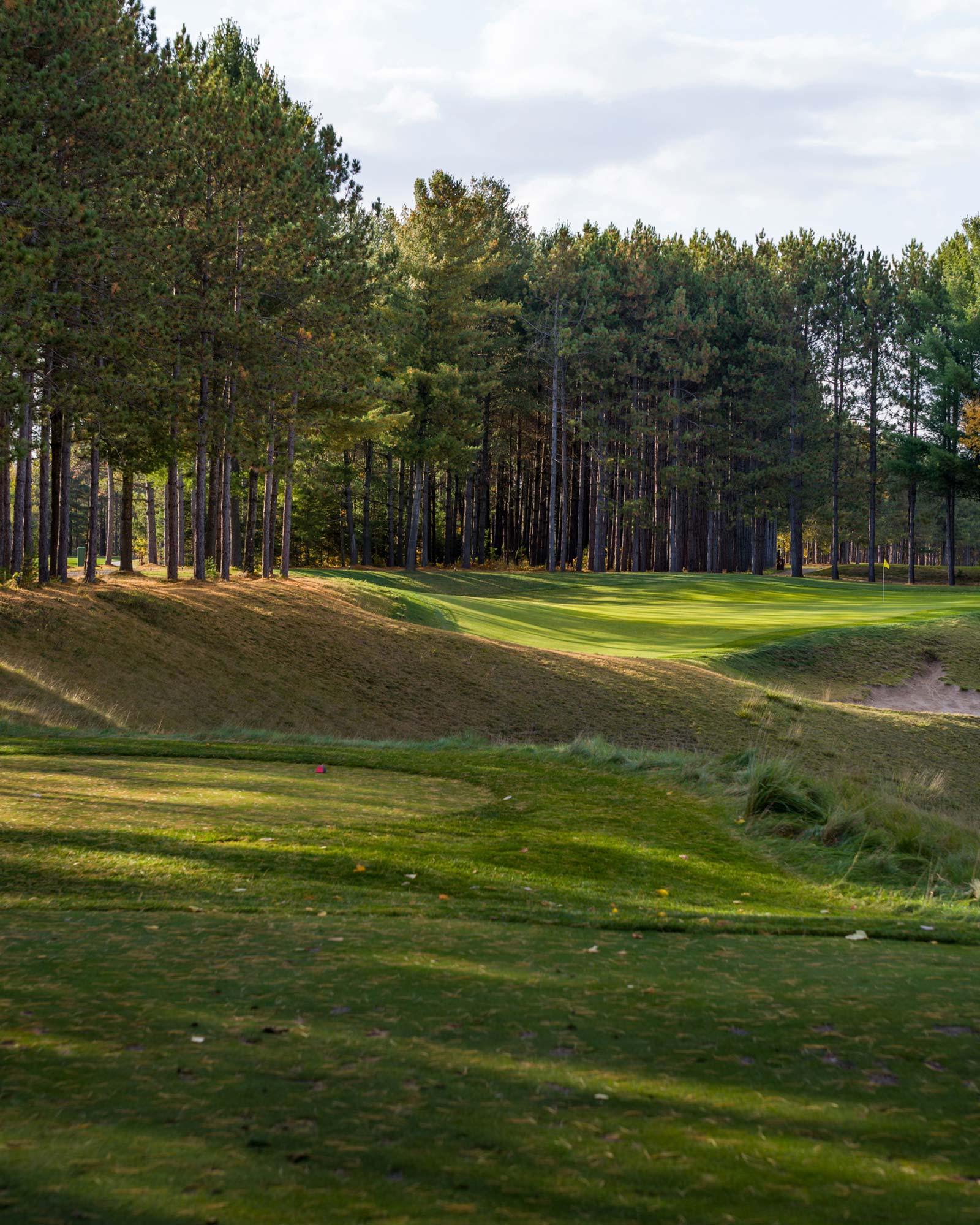Golf course fairway lined with tall pine trees and sand bunkers under cloudy sky.