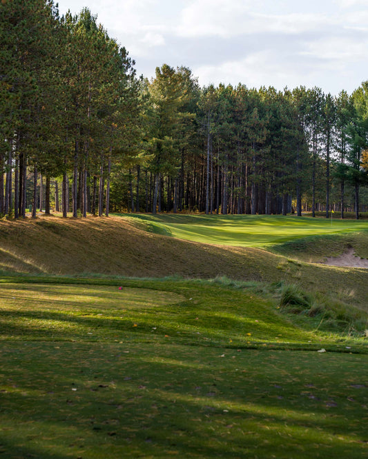 Golf course hole lined with tall pine trees, manicured fairway, and sand bunker under cloudy sky.